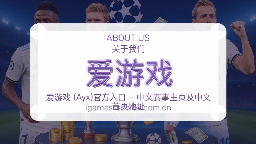 爱游戏综合体育服务
